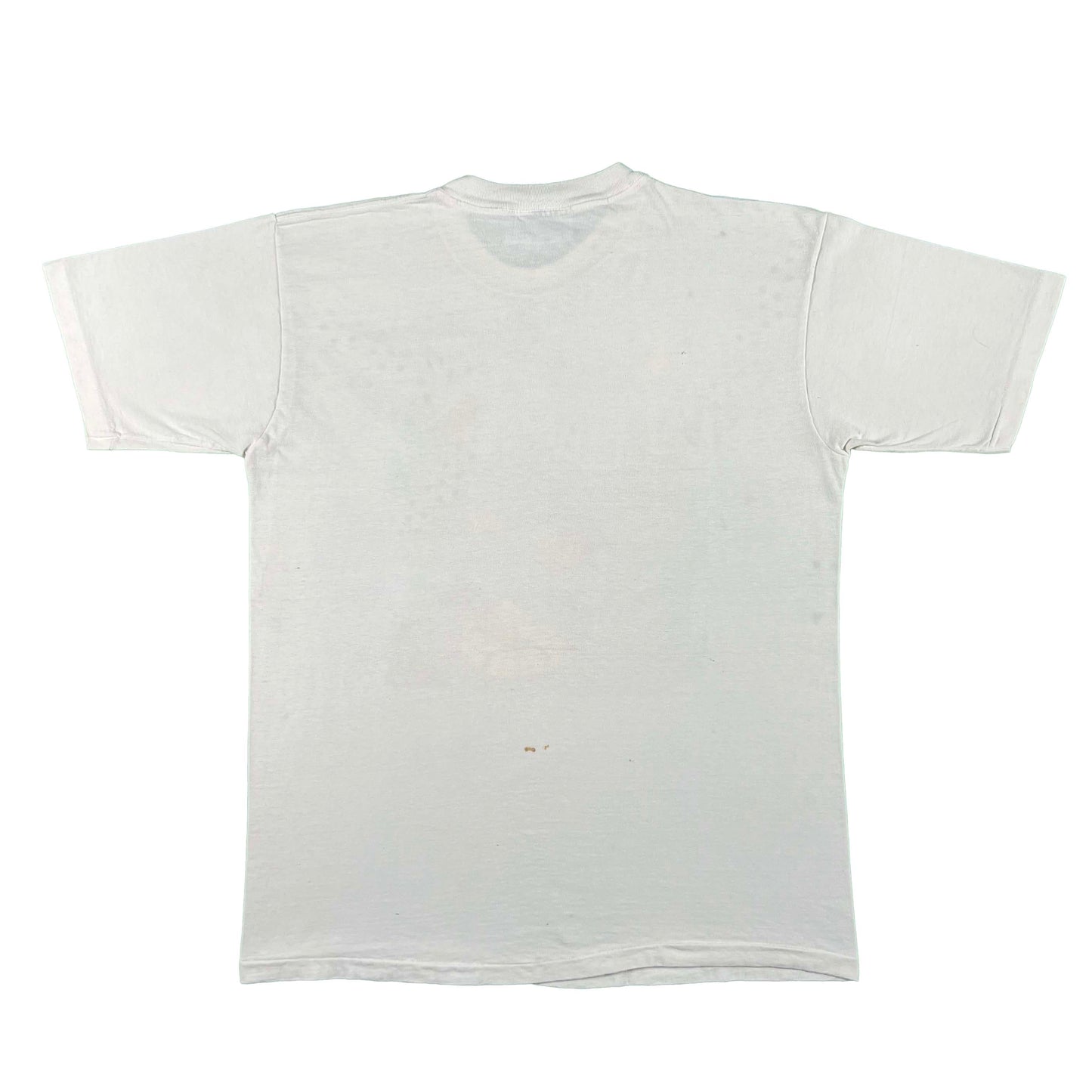 90s Cacti Desert Scene Art Tee- L