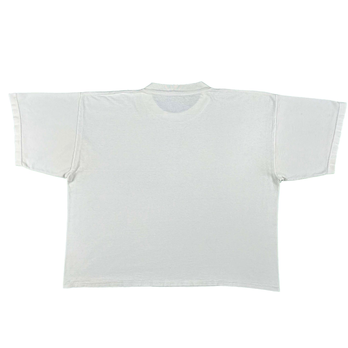 90s Cropped Boston Swan Boats Tee- L