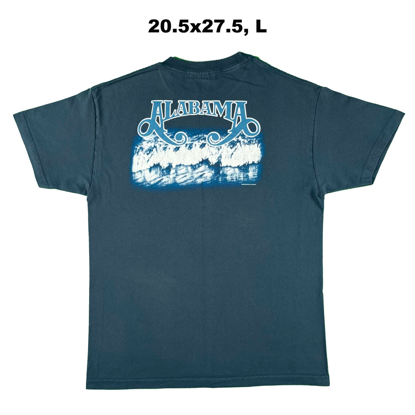 $20 Vintage Band Tees- SELECT TEE