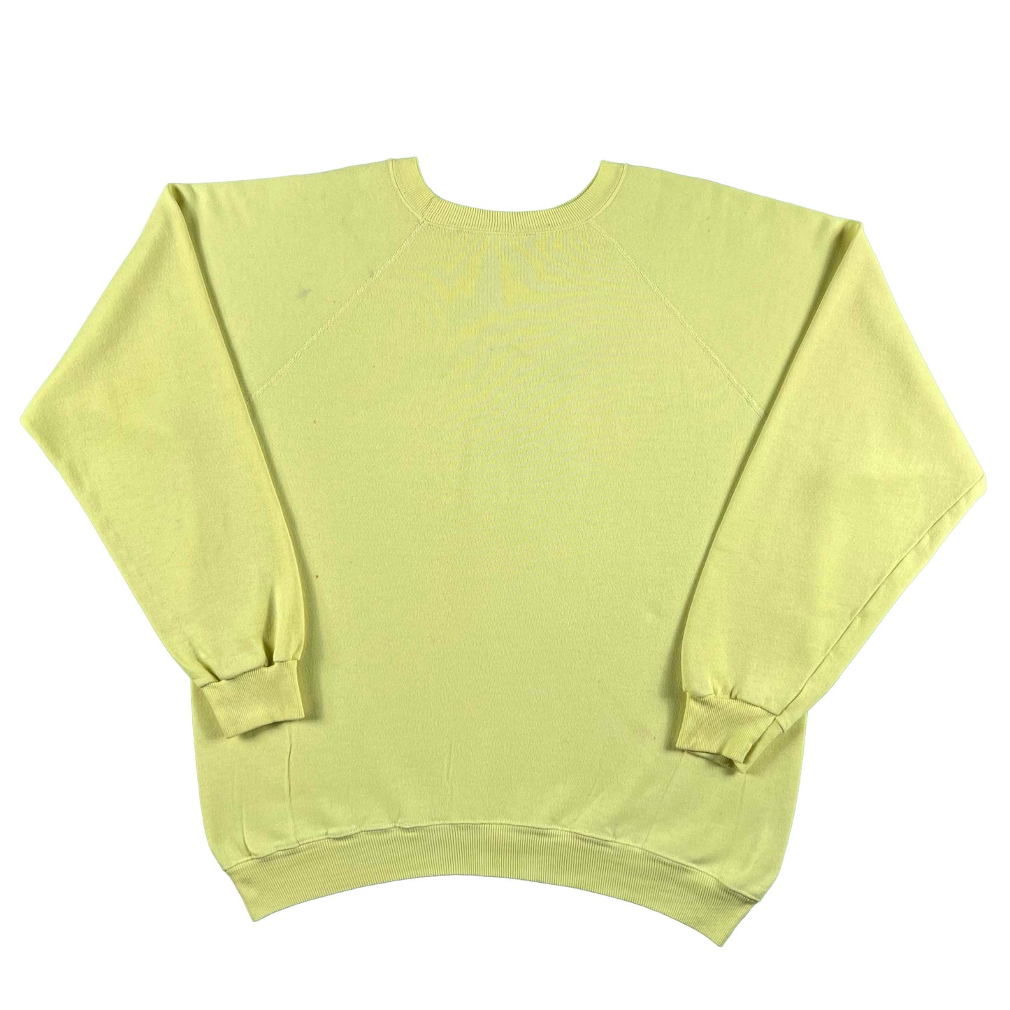 80s Arizona Hummingbird Sweatshirt- XL