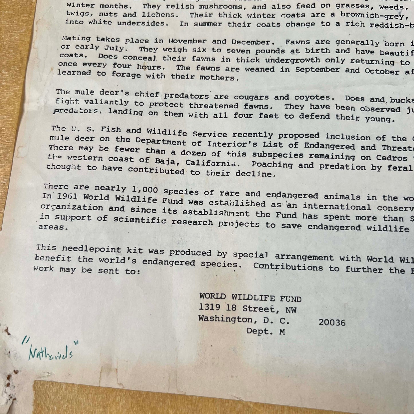 70s Needlepin 'Cedros Island Mule Deer' Art