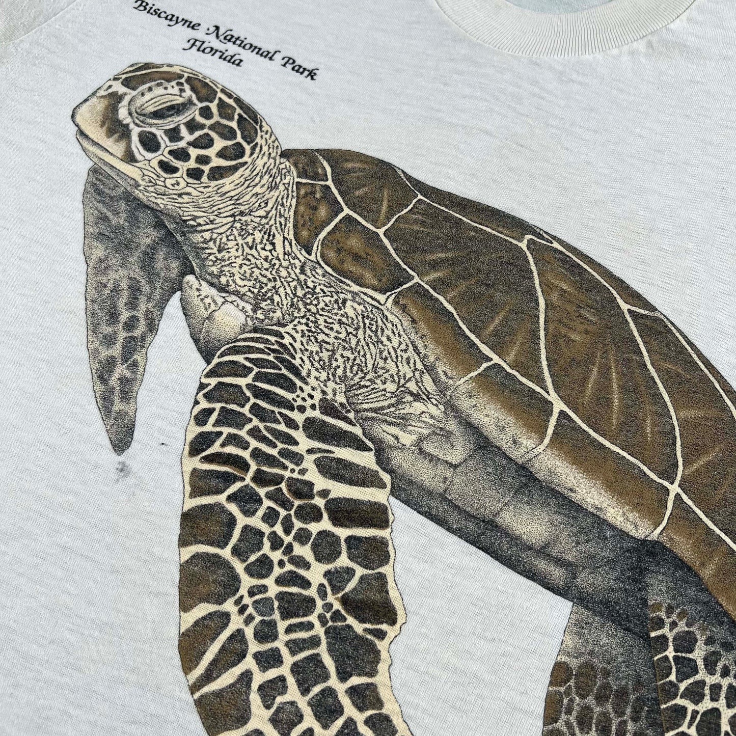 80s Biscayne National Park Sea Turtle Tee- XS
