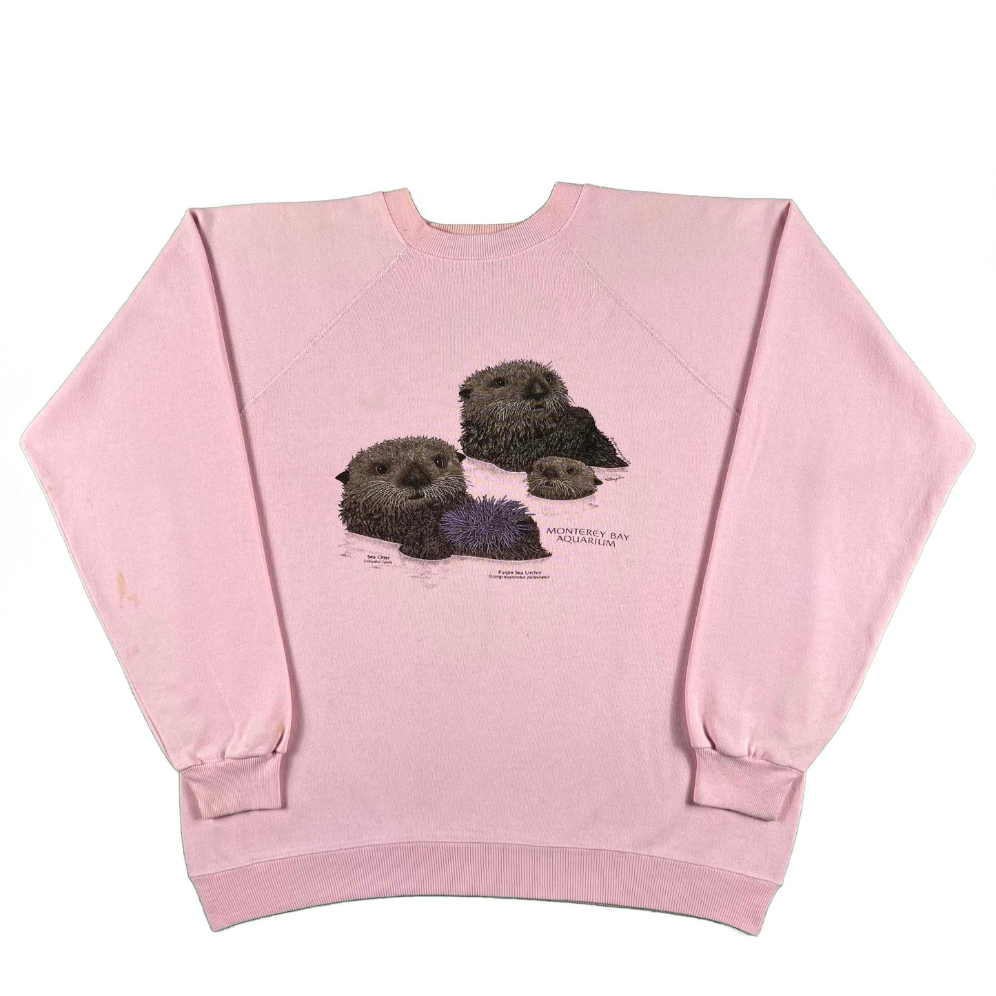 80s Monterey Bay Aquarium Sea Otters Sweatshirt- XL