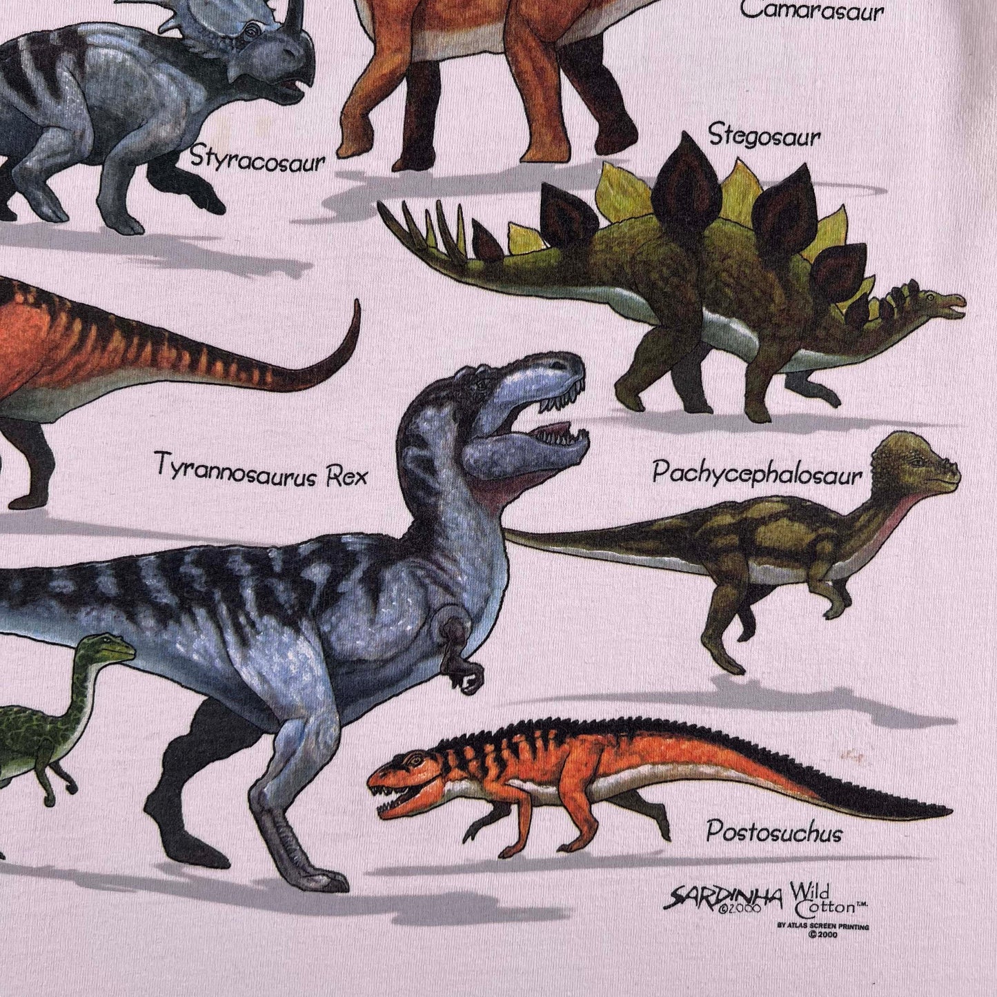 Vintage 2000 Dinosaurs of North America Tee- XL