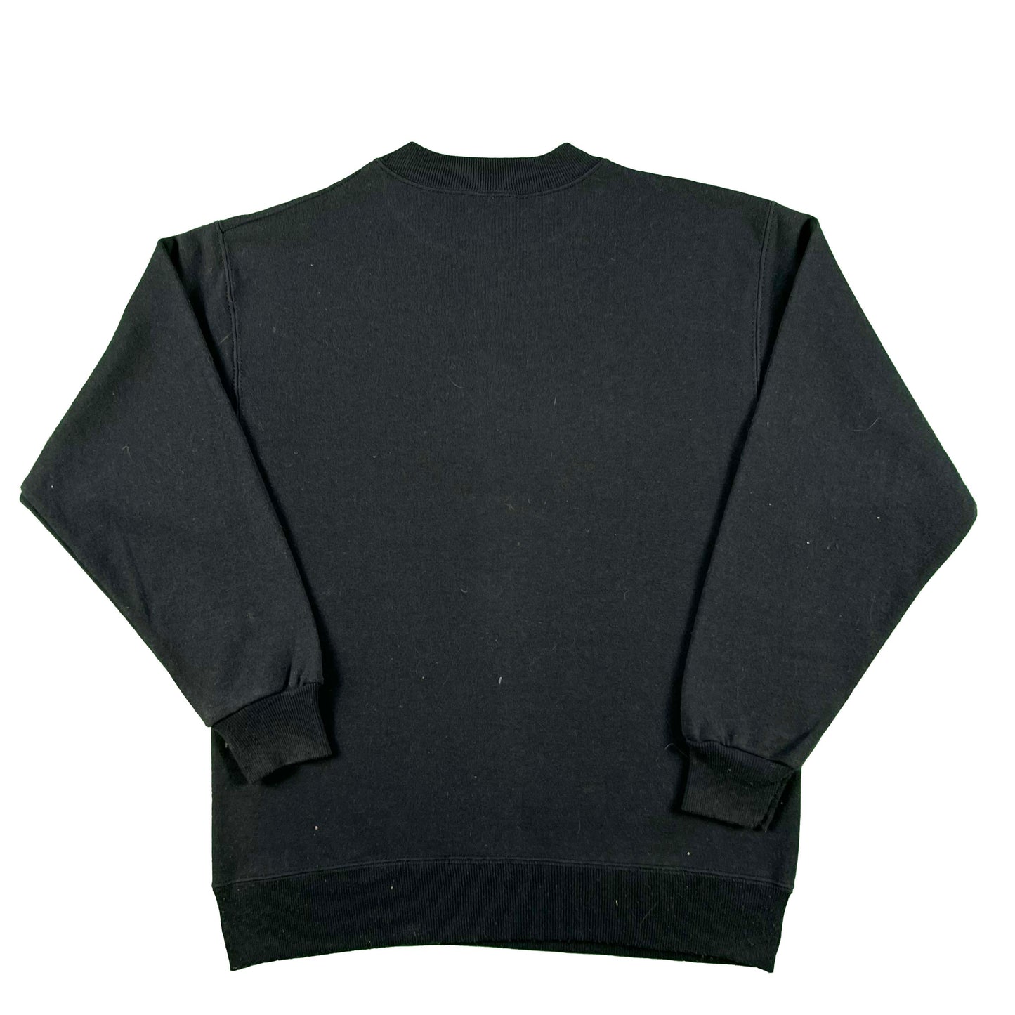 90s Oregon Rural Organizing Project Sweatshirt- M