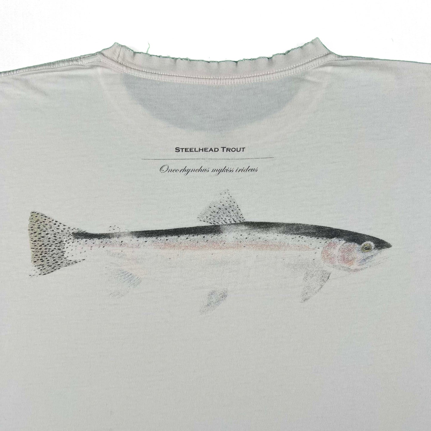 Patagonia Steelhead Trout Tee- L