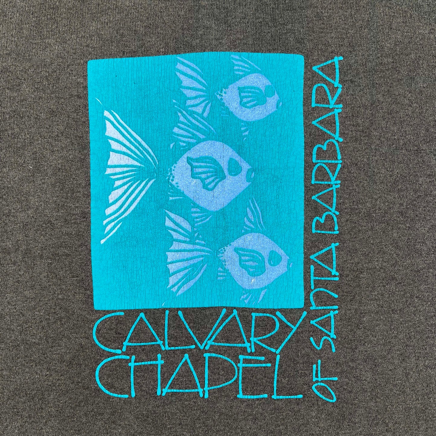 70s Sun Faded Black Santa Barbara Fish Sweatshirt- L