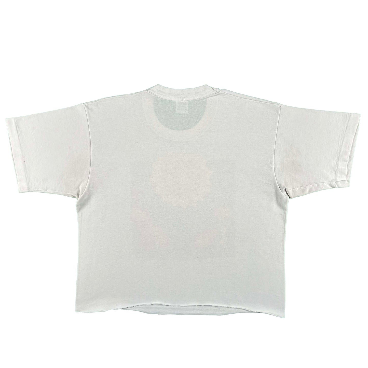 90s Ann Arbor Summer Art Fair Crop Tee- M