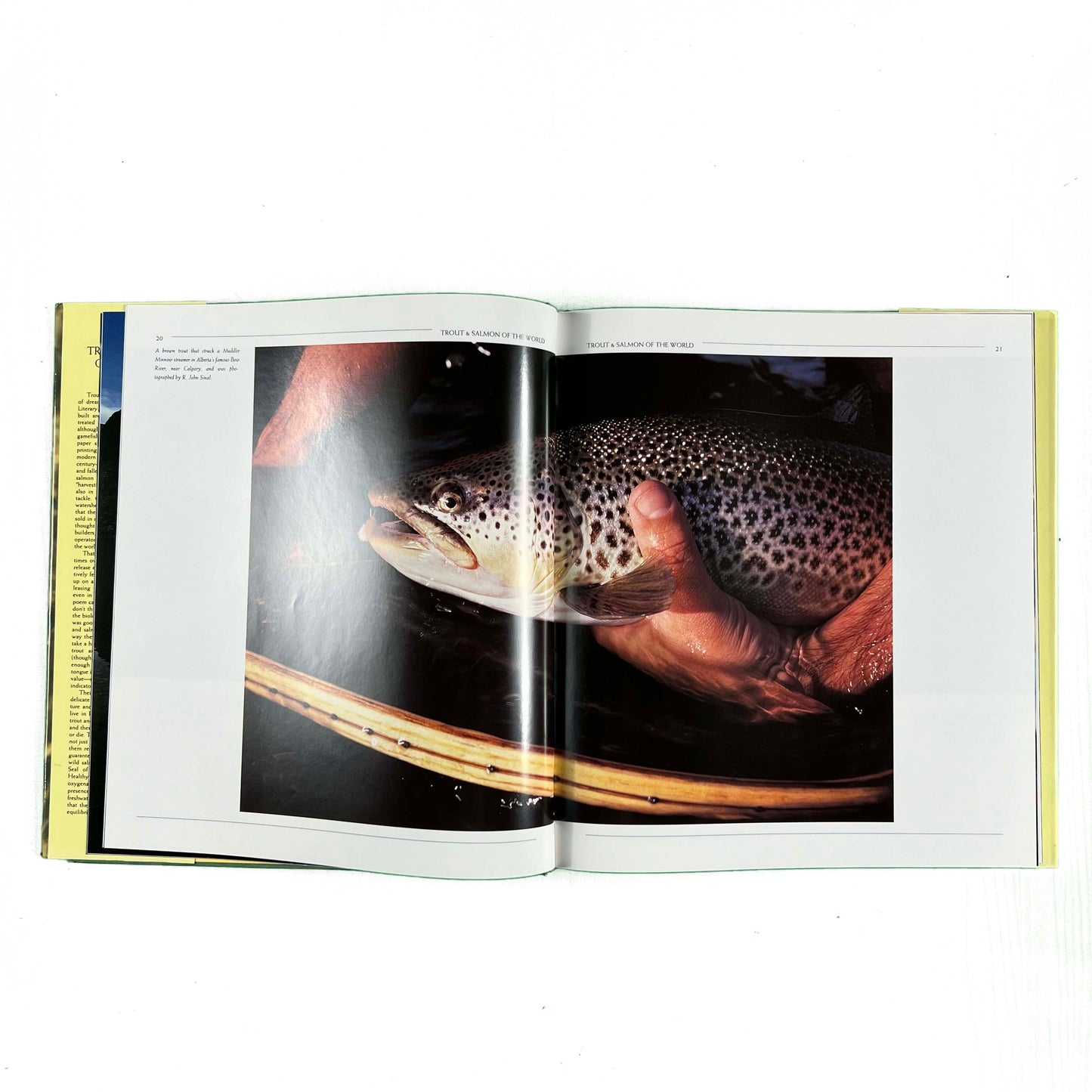 1990 'Trout & Salmon Of The World' Coffee Table Book