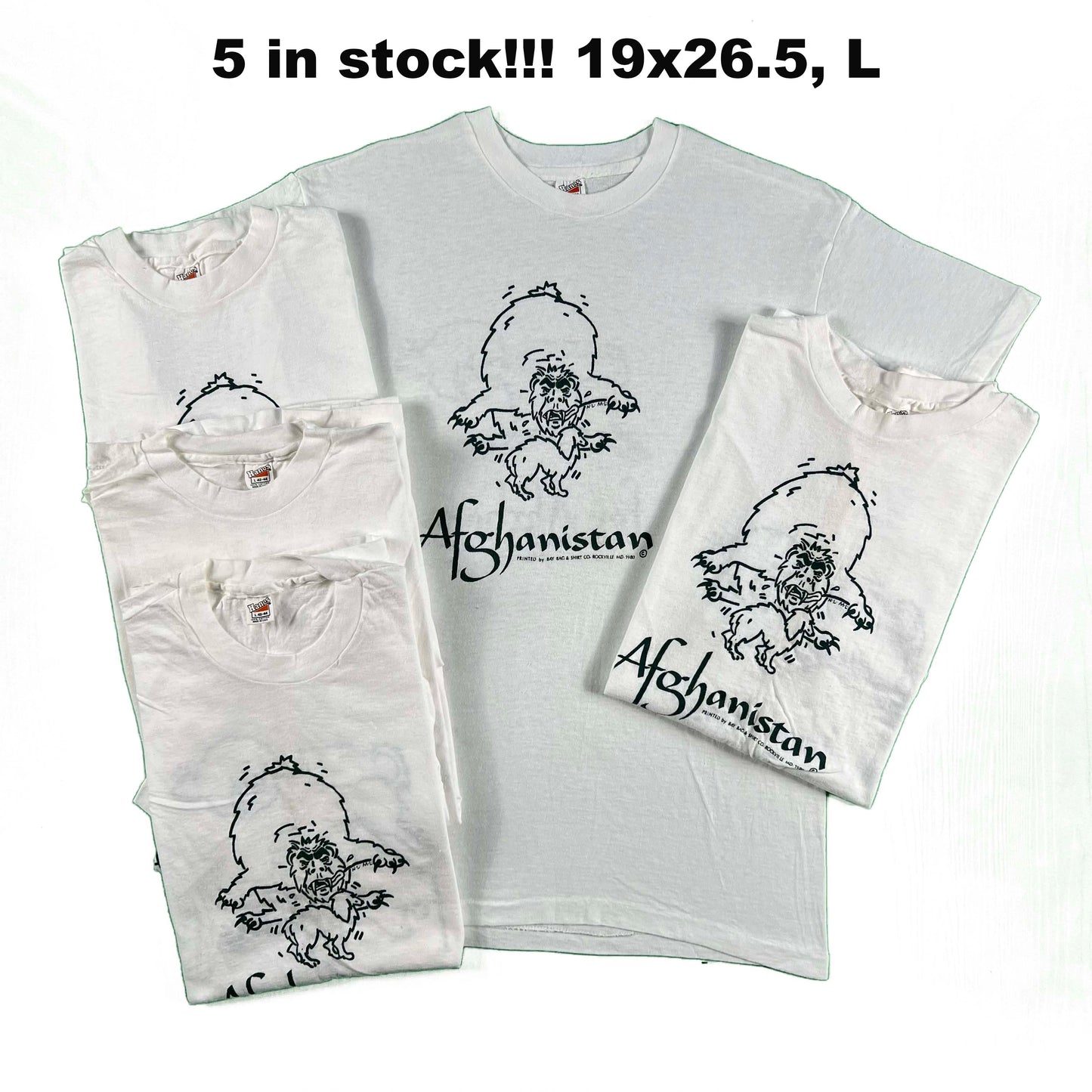 70s/80s Hanes Beefy-T 100% Cotton Tees- SELECT TEE