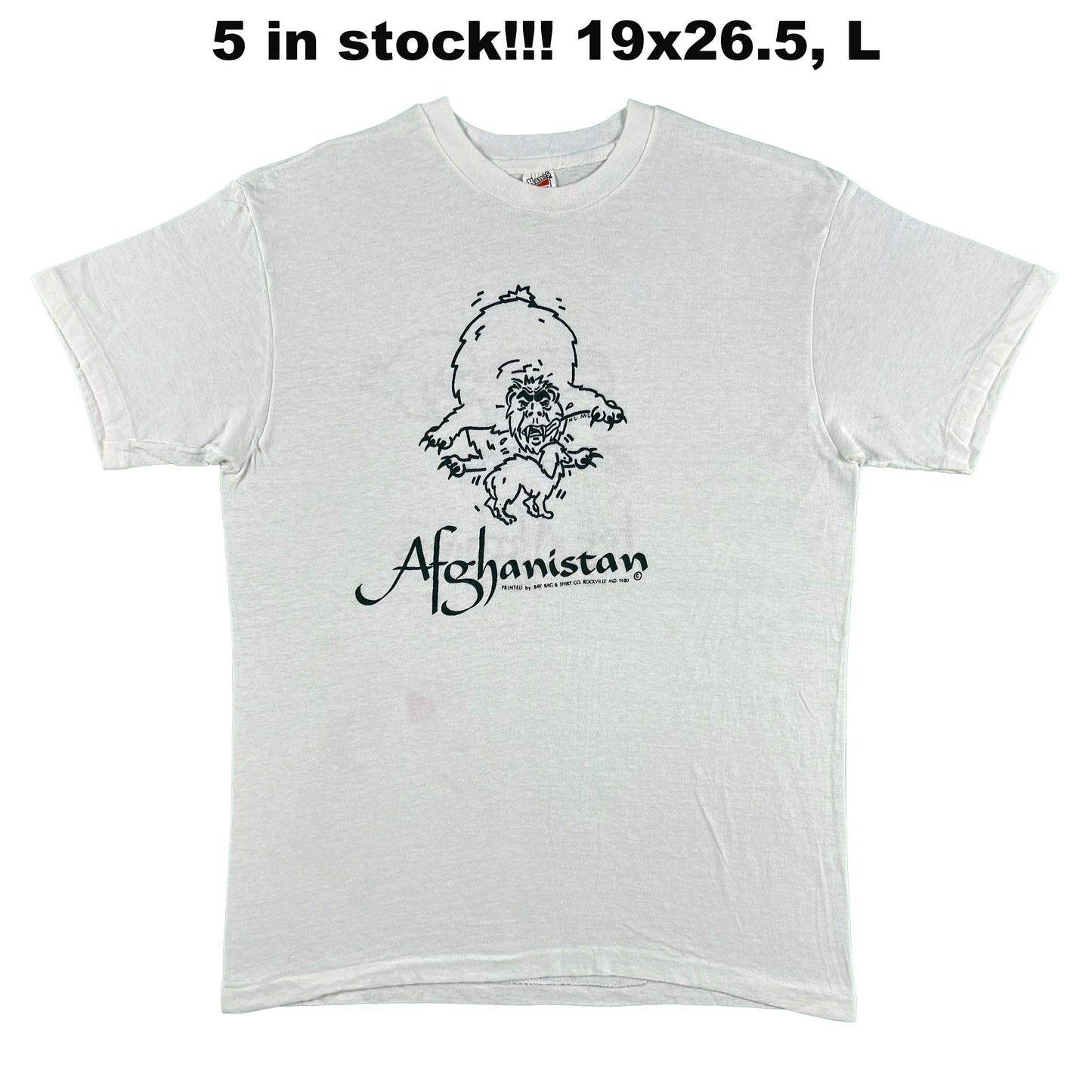 70s/80s Hanes Beefy-T 100% Cotton Tees- SELECT TEE