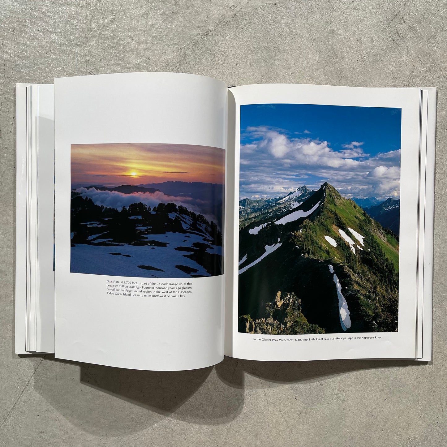 Vintage John Marshall 'Washington' Coffee Table Book