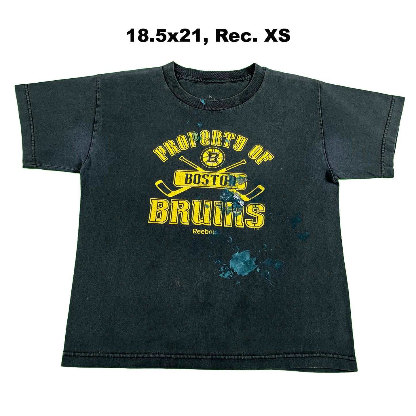 Boston Bruins