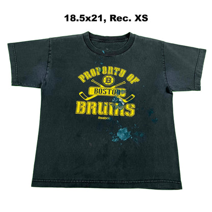 Boston Bruins