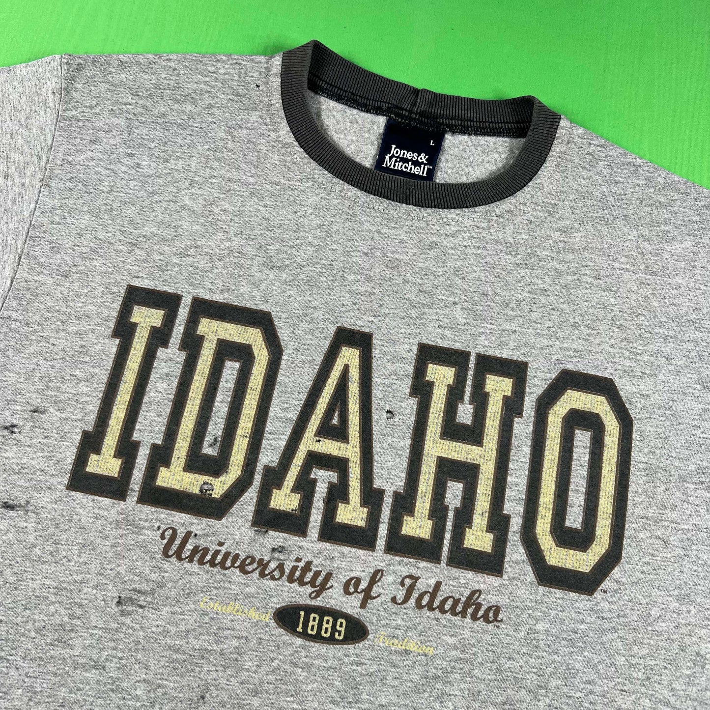 90s Thrashed University of Idaho Long Sleeve Tee- L