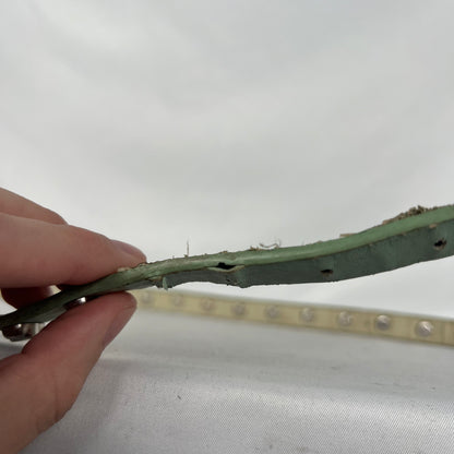 Skull Studded Mint Green Leather Belt- 24"-28"