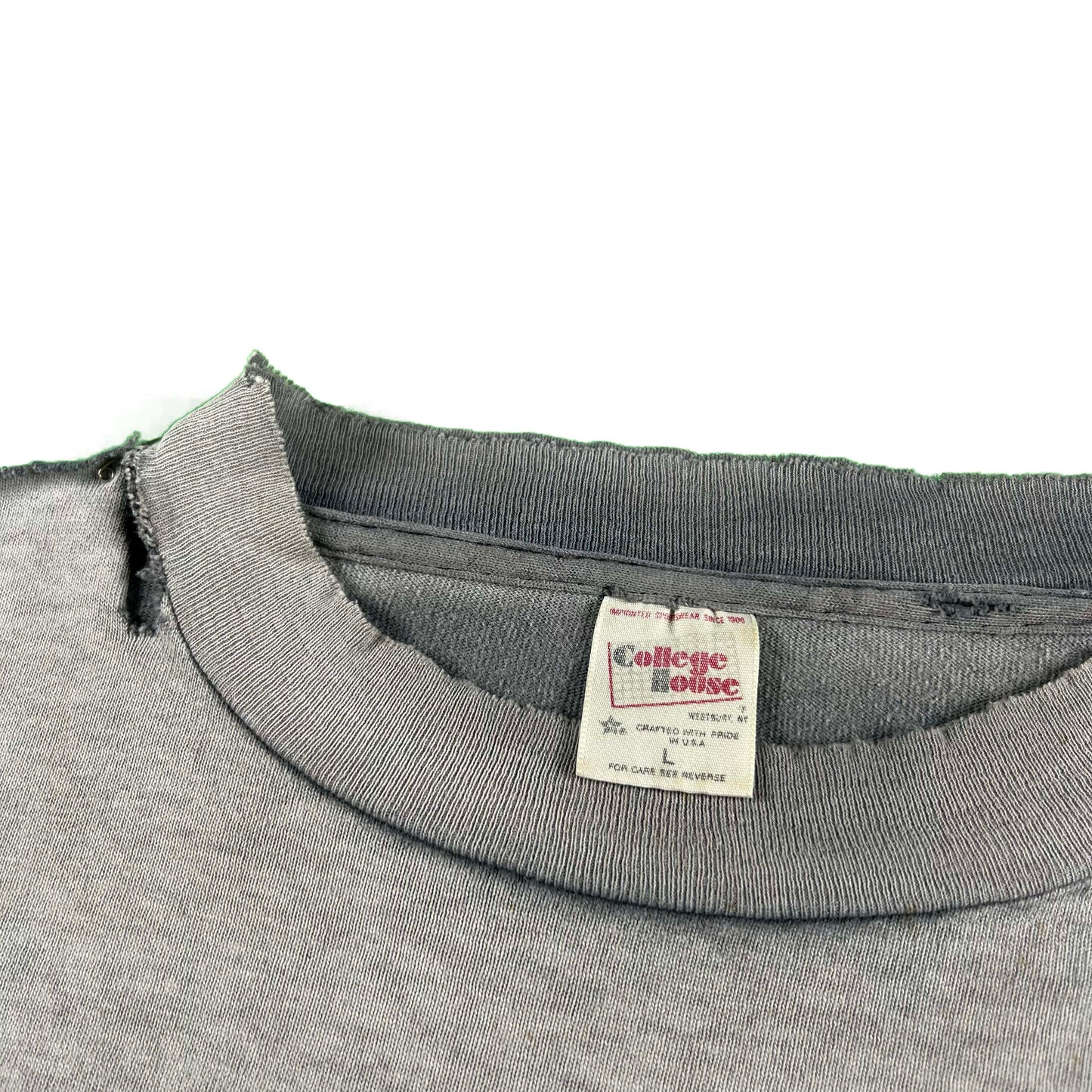 90s Thrashed & Faded to Perfection Long Sleeve Panthers Tee- L