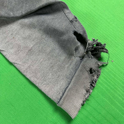 90s Thrashed & Faded to Perfection Long Sleeve Panthers Tee- L