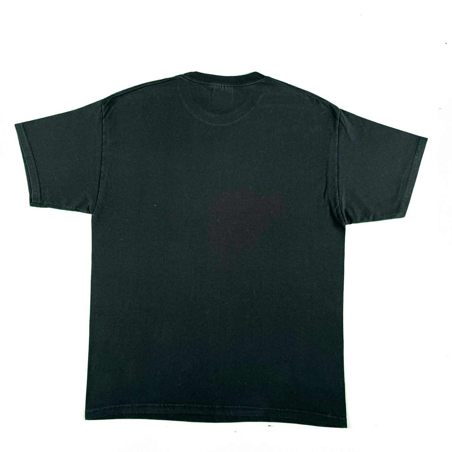 00s 'Every Day I Think People Can't Get Any Dumber' Tee- L