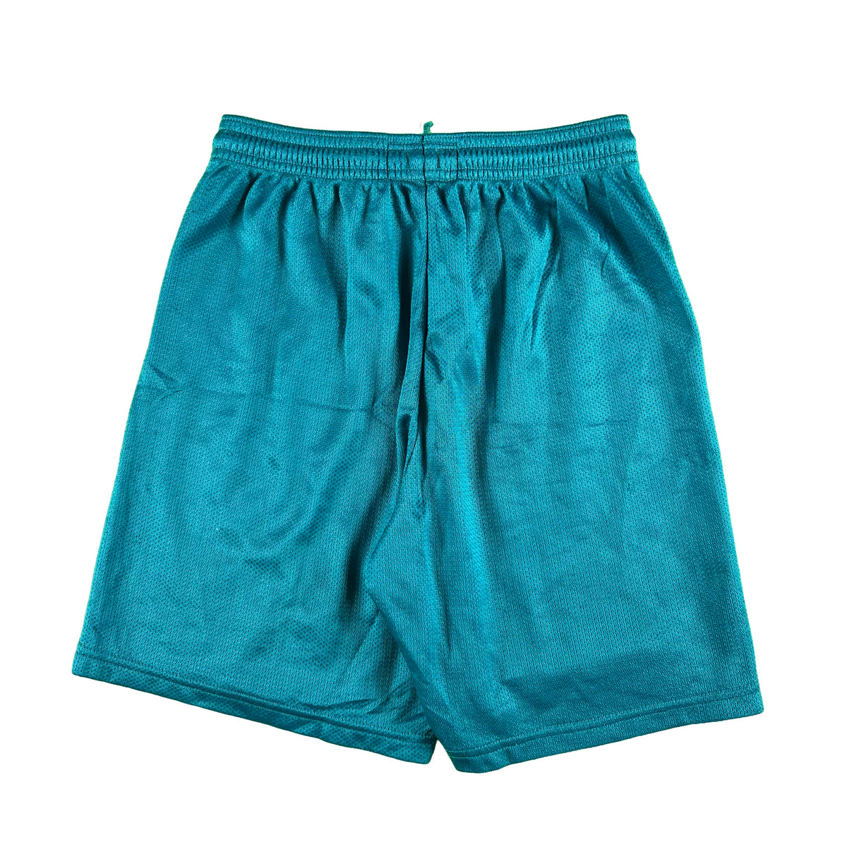 00s Charlotte Sting Mesh Basketball Shorts- XXS