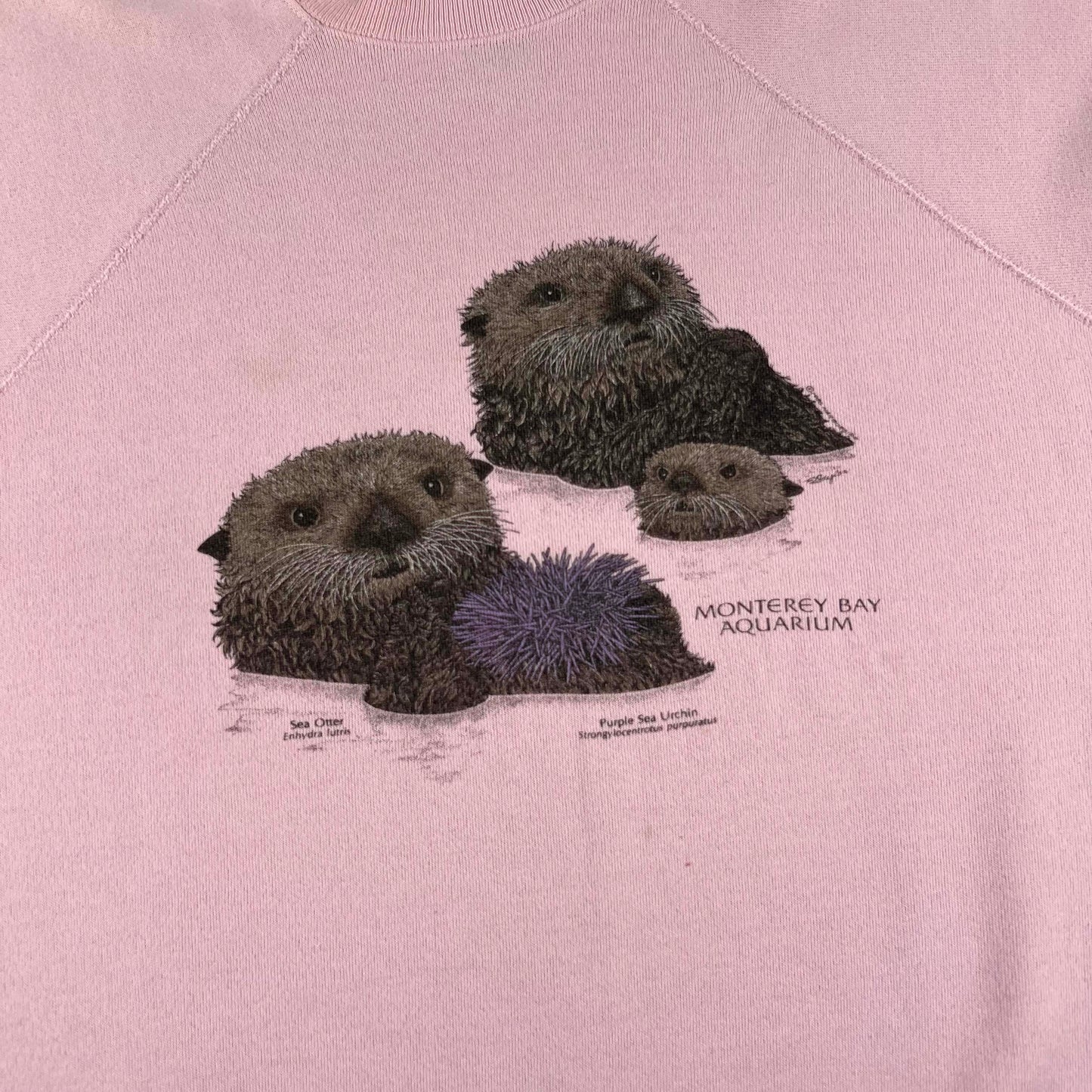 80s Monterey Bay Aquarium Sea Otters Sweatshirt- XL