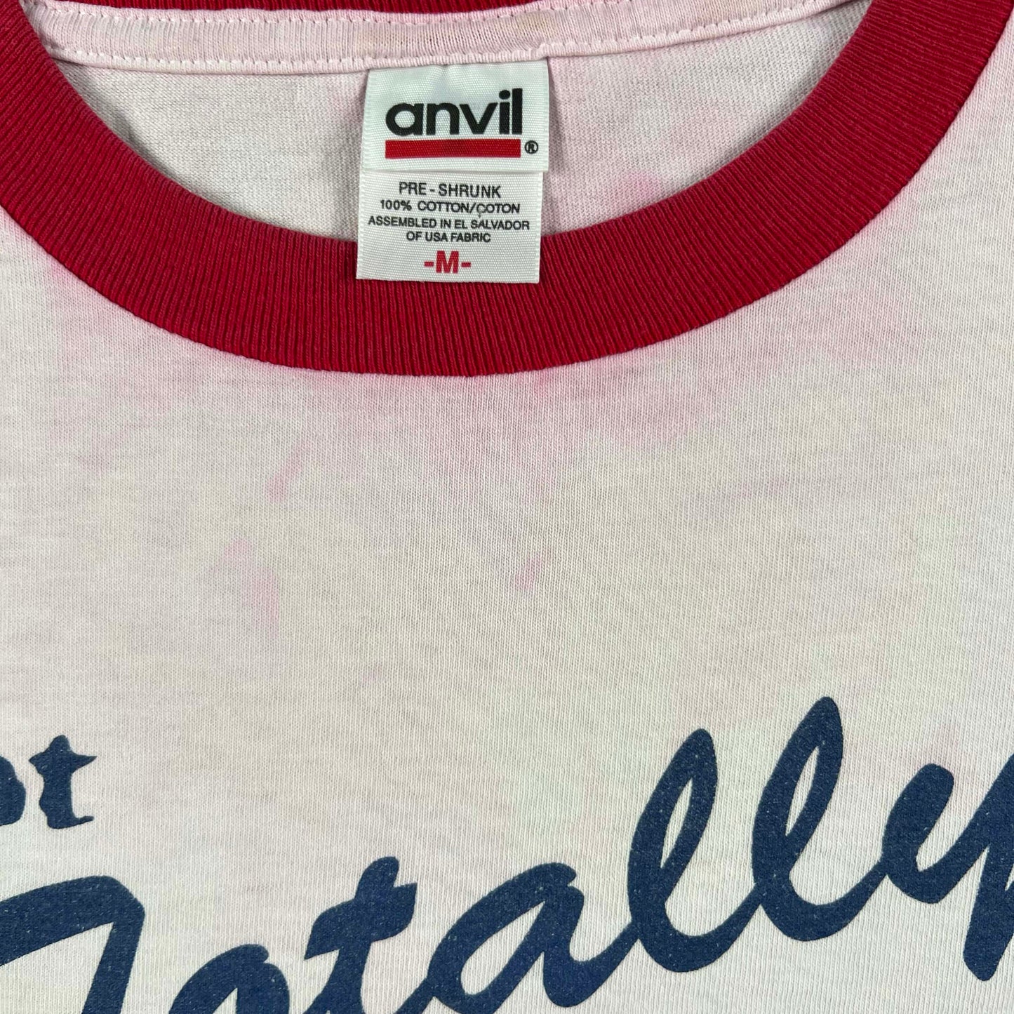 00s I Got Totally Naked in New Glarus WI Tee- M