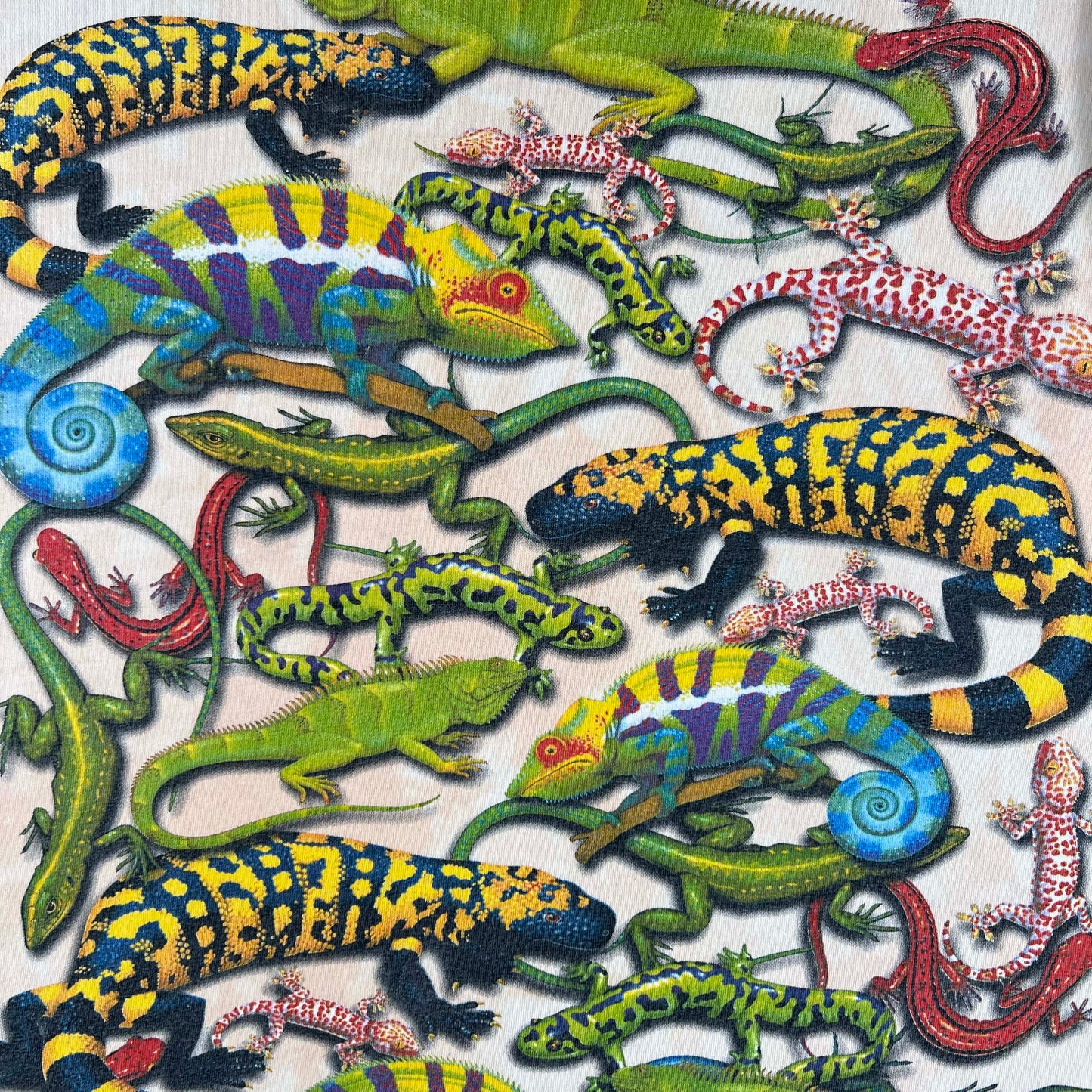 Vintage 2001 Lizards Tee- L
