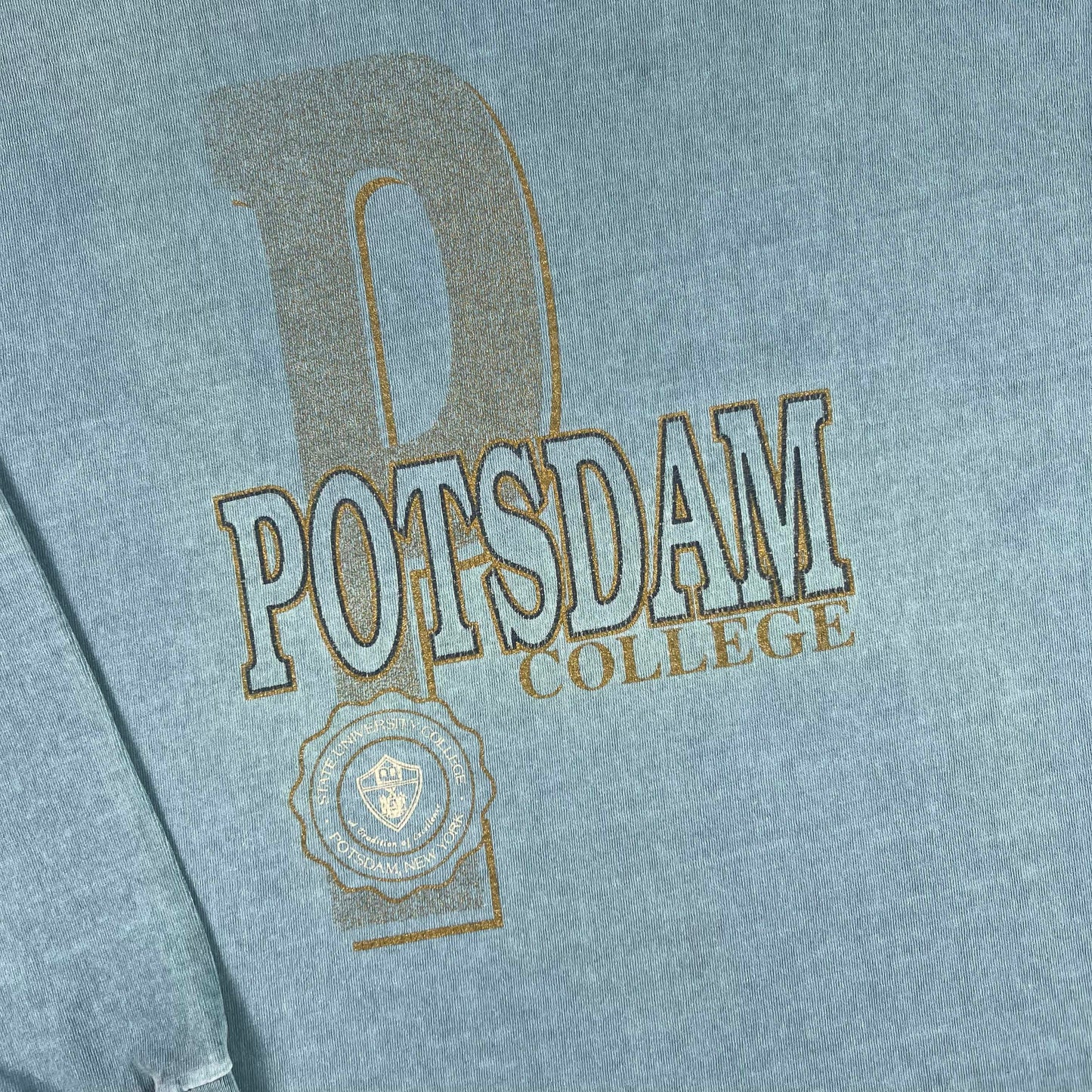 90s Potsdam College Long Sleeve Tee- L