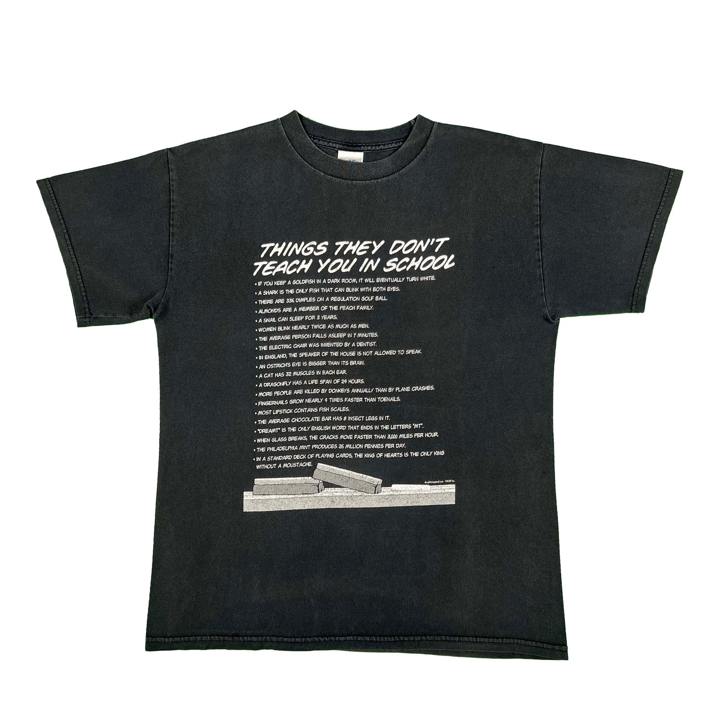 00s Things They Don't Teach You in School Tee- M