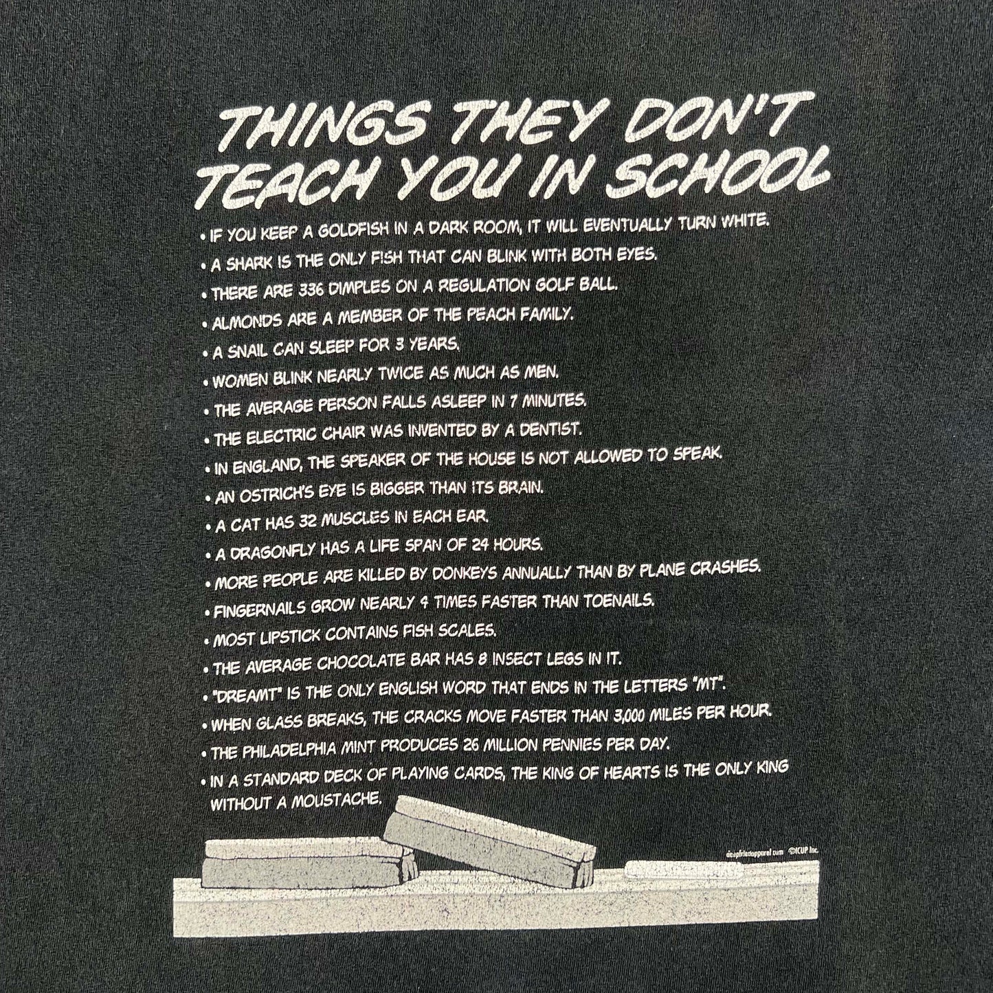 00s Things They Don't Teach You in School Tee- M