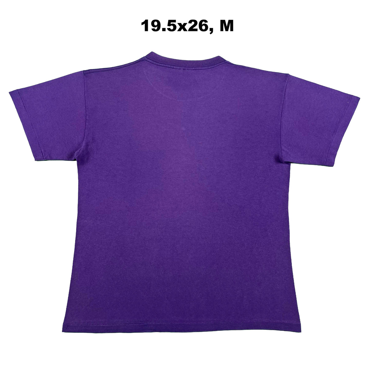 90s Arizona '...but it's a dry heat.' Tees- SELECT T SHIRT