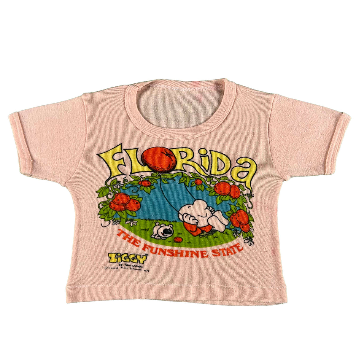 70s Florida 'The Funshine State' Baby Tee