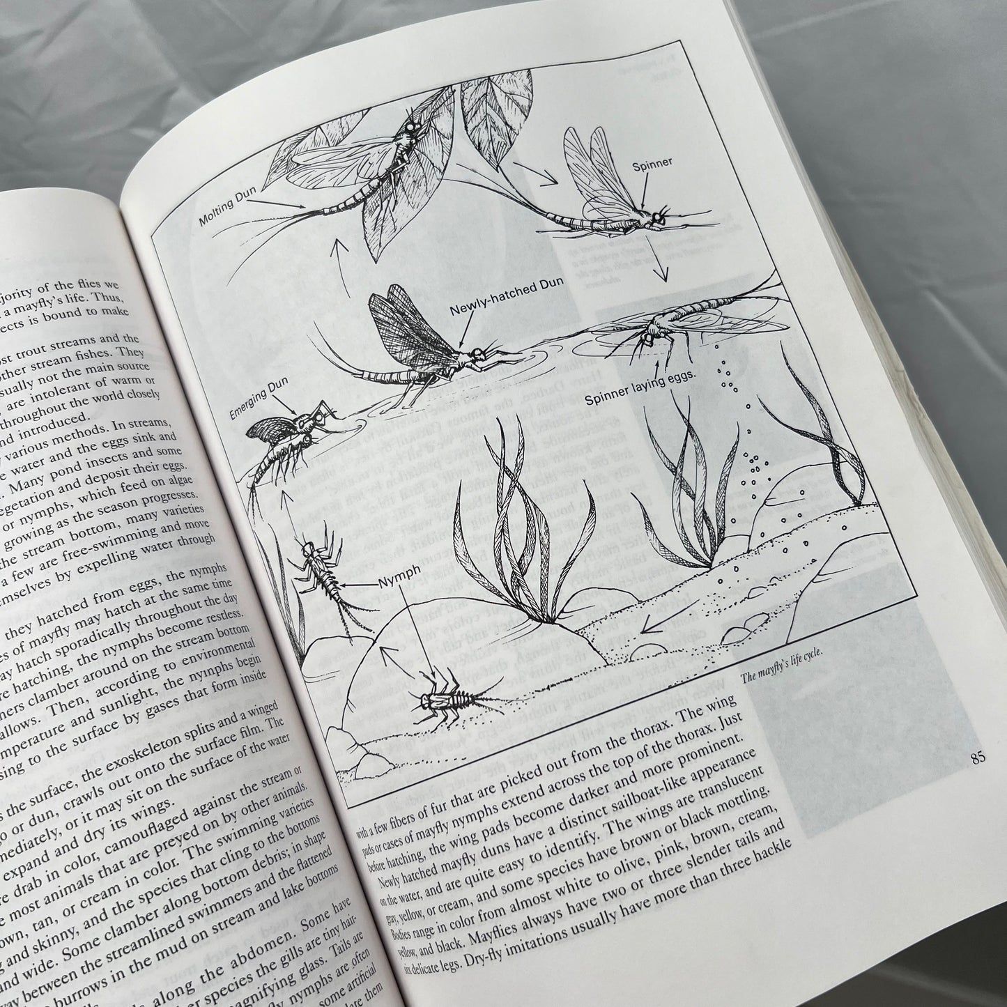 1984 'The Orvis Fly-Fishing Guide' Book