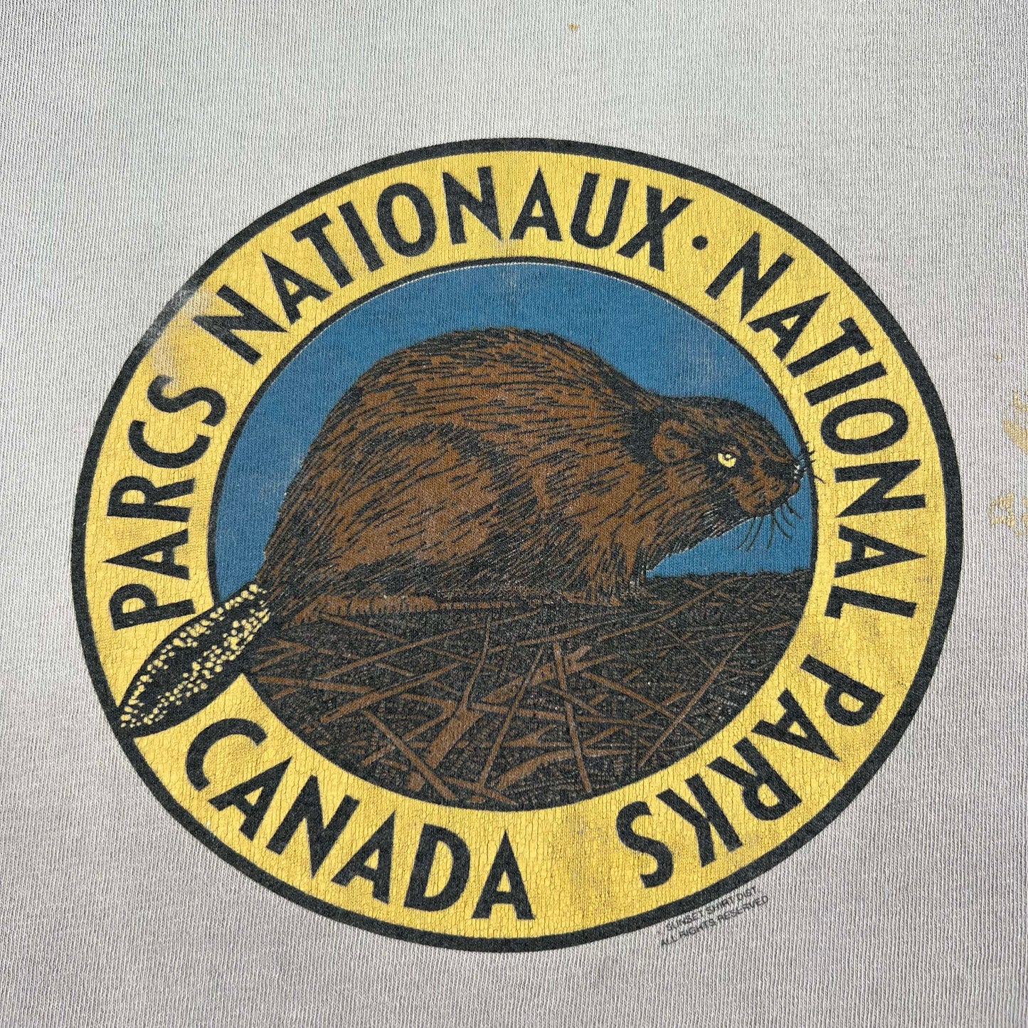 90s Sun Faded Canadian National Parks Beaver Tee- M
