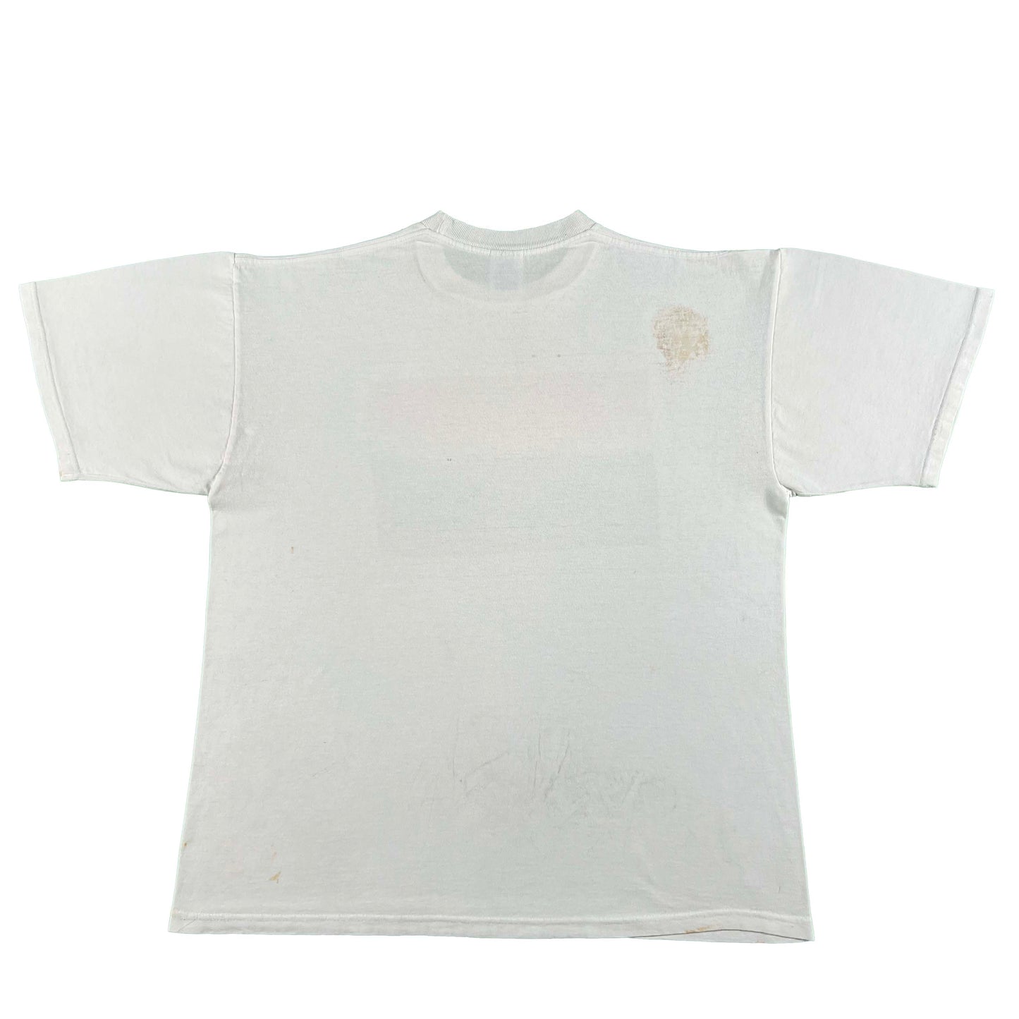 90s Rainbow Westwind YWCA Tee- L