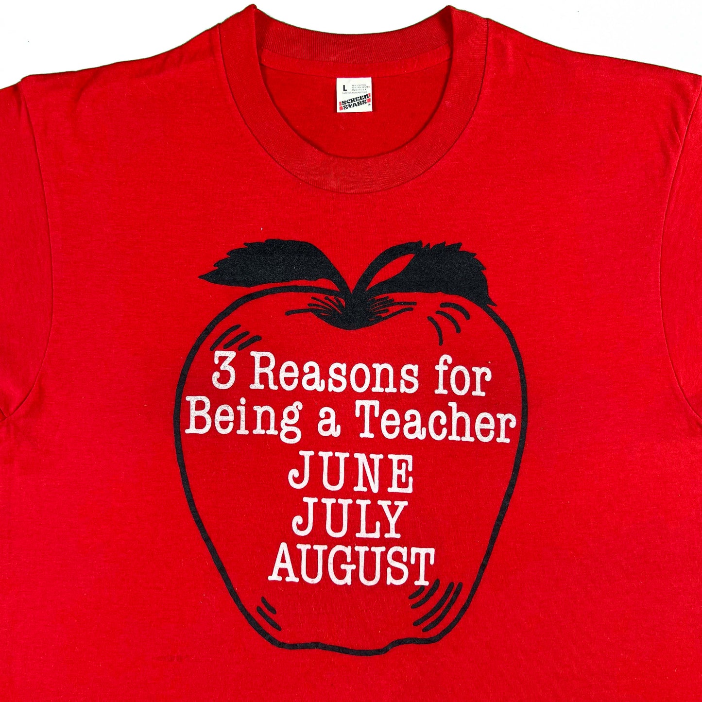 80s 3 Reasons for Being a Teacher Tee- L