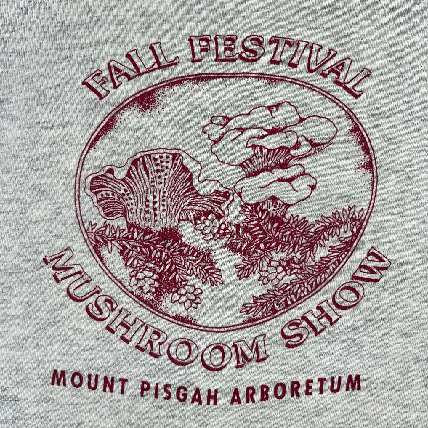 90s Fall Festival Mushroom Show Tee- M