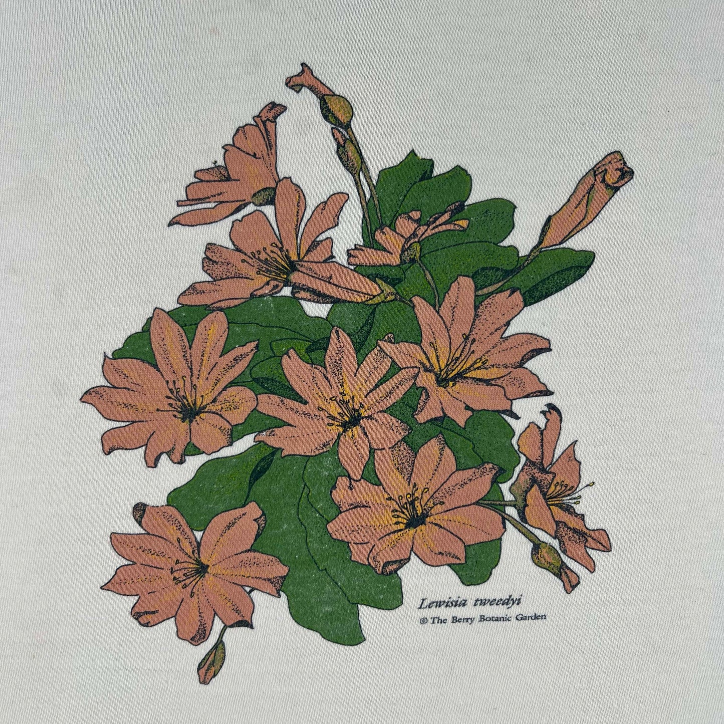 80s Lewisia tweedyi Flower Tee- L