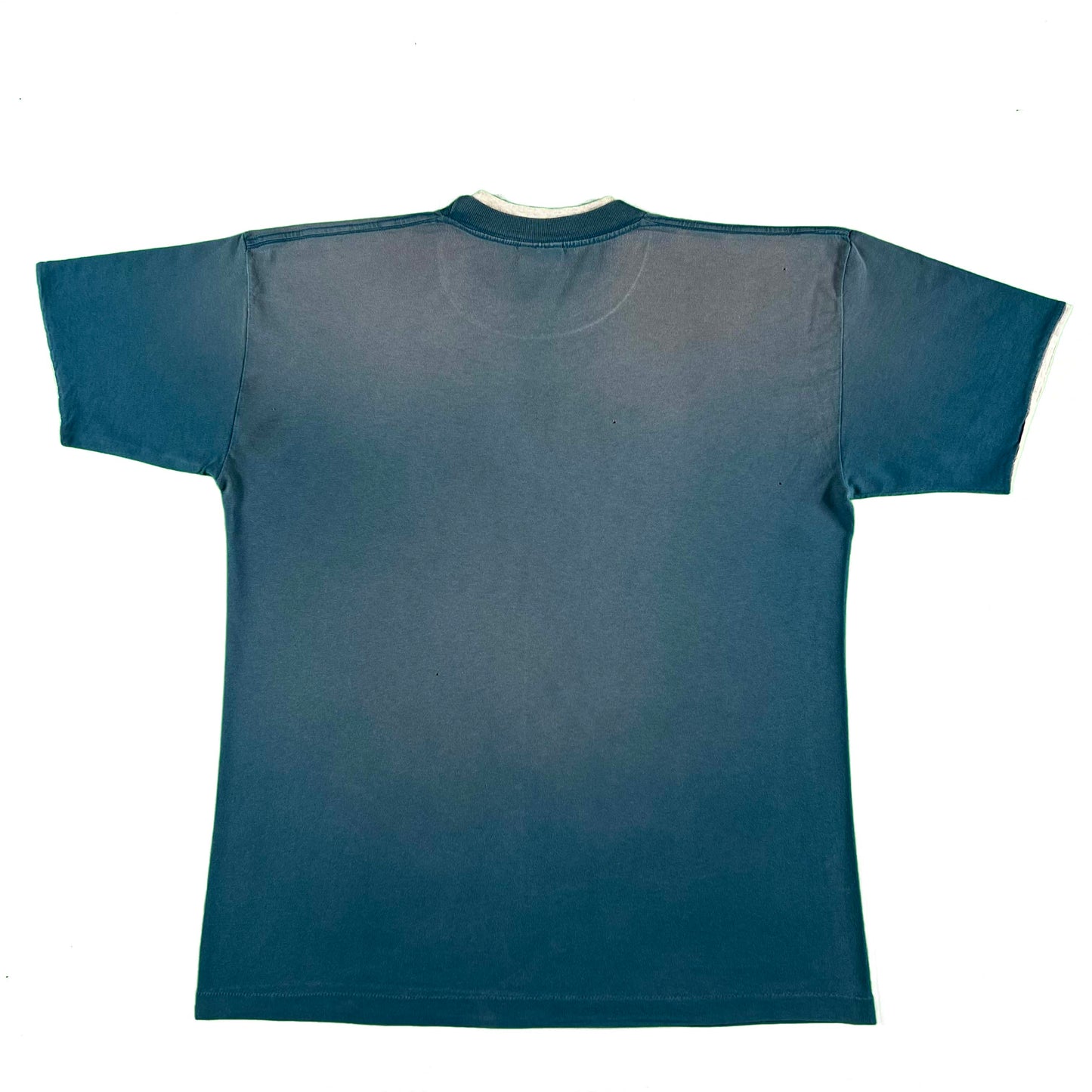 90s Sun Faded Colorado Landscape Tee- L