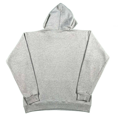 90s Illinois Fighting Illini Hoodie- L