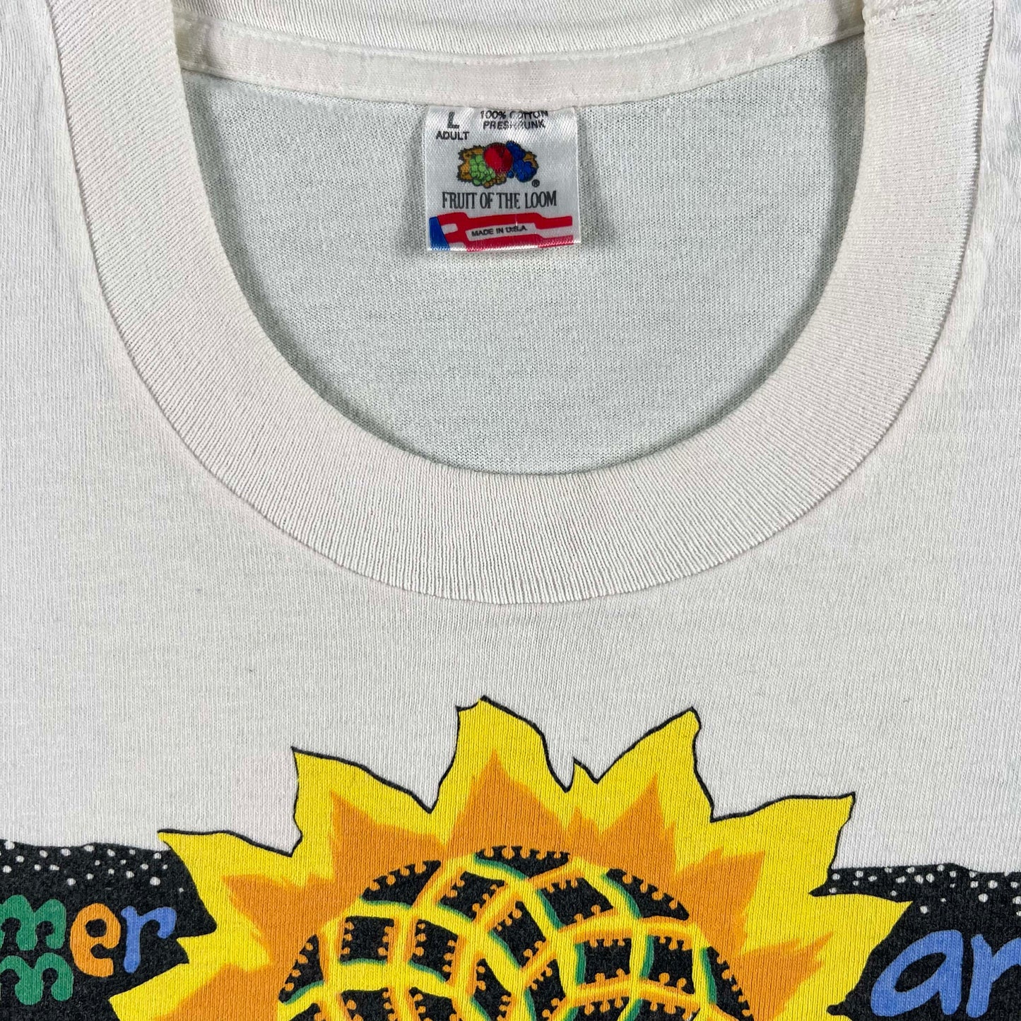 90s Ann Arbor Summer Art Fair Crop Tee- M