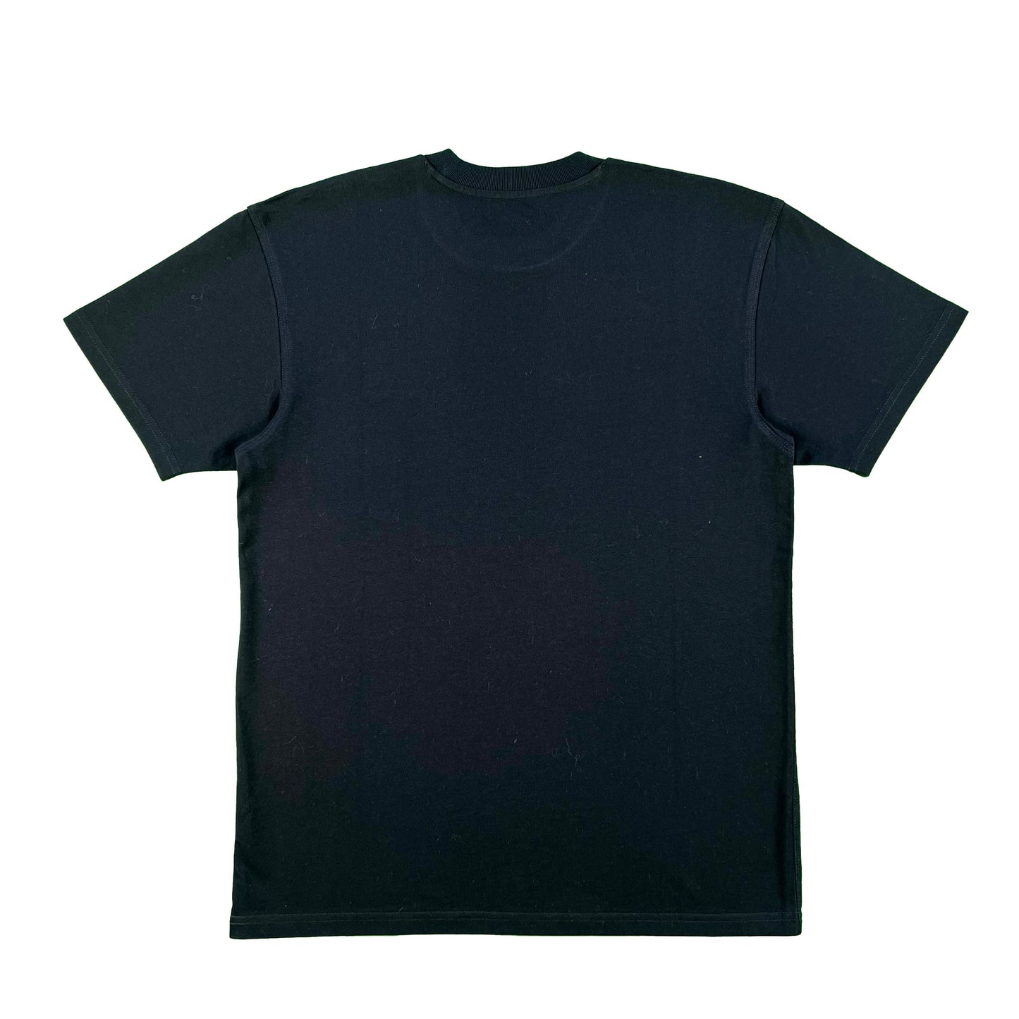 Carhartt Work in Progress Tee- S