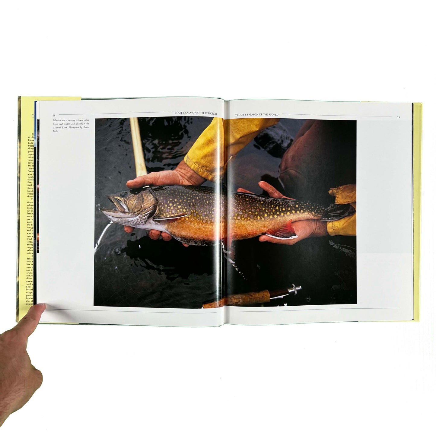 1990 'Trout & Salmon Of The World' Coffee Table Book
