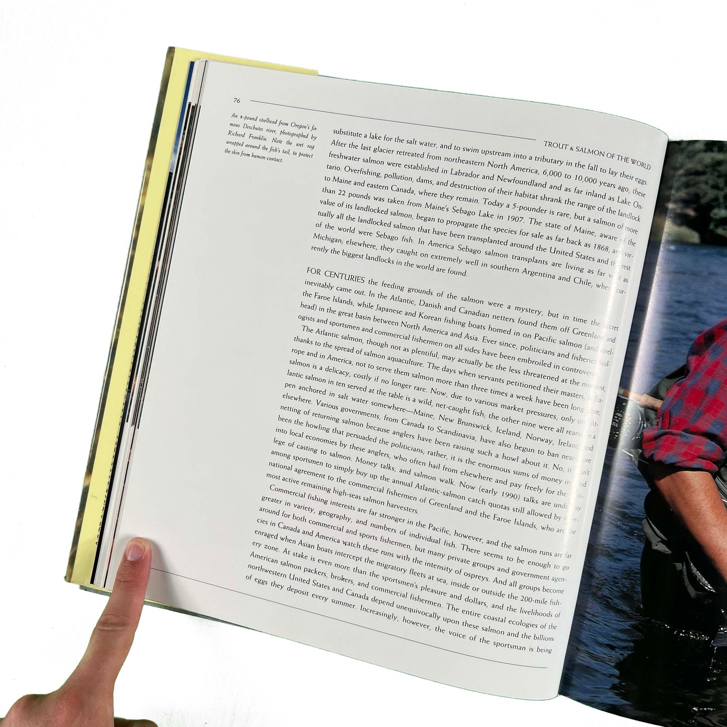 1990 'Trout & Salmon Of The World' Coffee Table Book