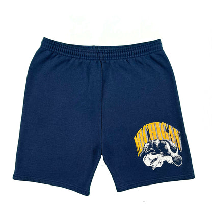 80s/90s U. of Michigan Wolverine Sweatshorts- M
