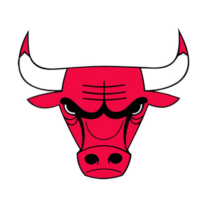 Chicago Bulls