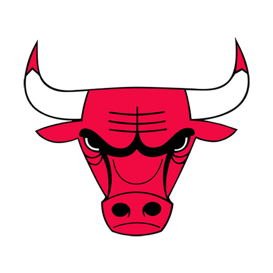 Chicago Bulls